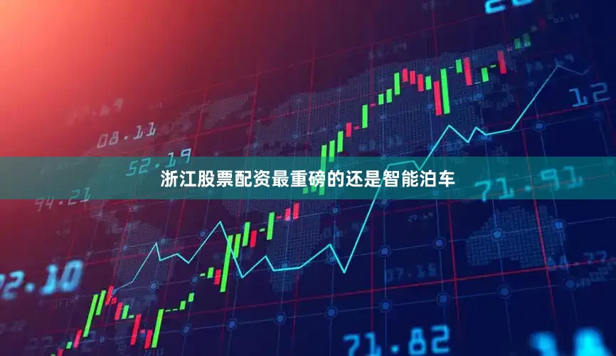 浙江股票配资最重磅的还是智能泊车